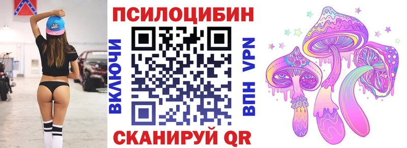 площадка как зайти  kraken как войти  Жуков  Галлюциногенные грибы MAGIC MUSHROOMS 